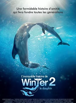 L'Incroyable Histoire de Winter le dauphin 2