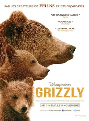 Grizzly